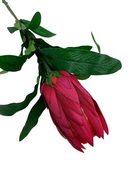 Protea gałązka 70 cm ciemny róż