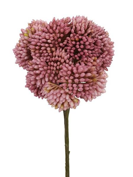 Rozchodnik gałązka 45 cm różowy