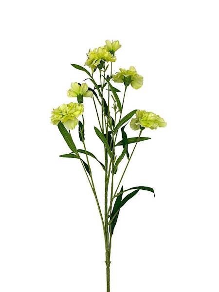 Goździk gałązka 73 cm zielony