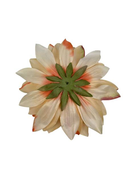 Dalia główka XXL 28 cm brzoskwiniowa