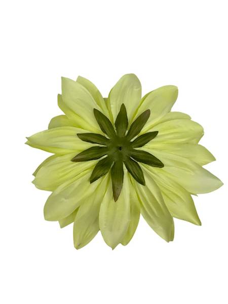 Dalia główka XXL 28 cm jasna zieleń