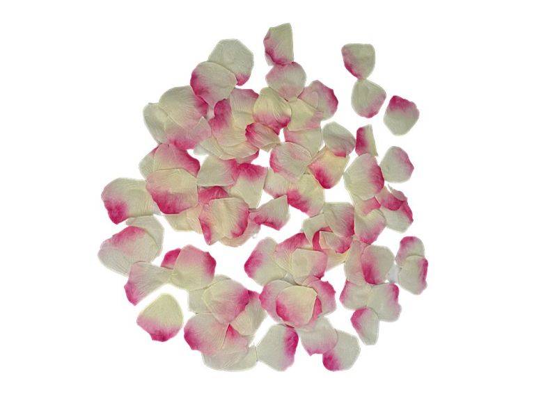 Płatki róż krem róż