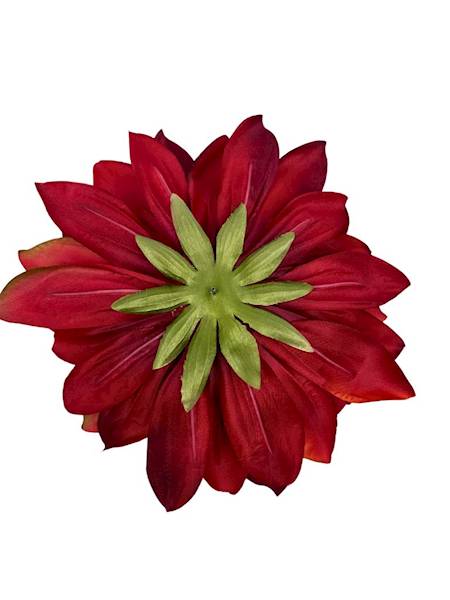 Dalia główka XXL 28 cm czerwona
