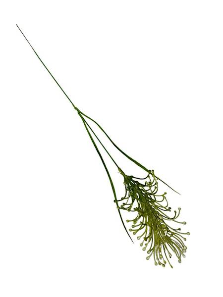 Dodatek trawa ozdobna 54 cm zielony