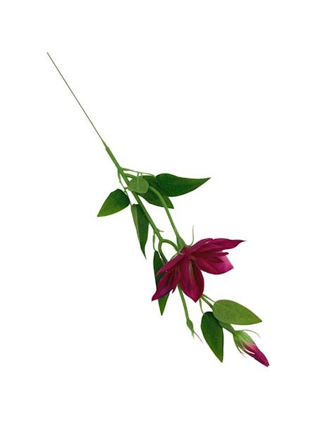 Klematis gałązka 48 cm mocny róż
