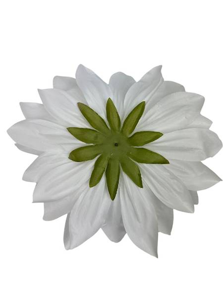 Dalia główka XXL 28 cm biała