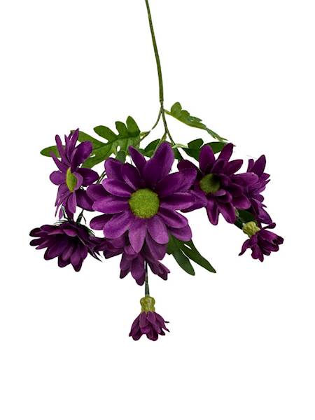 Margaretki gałązka 60 cm ciemny fiolet