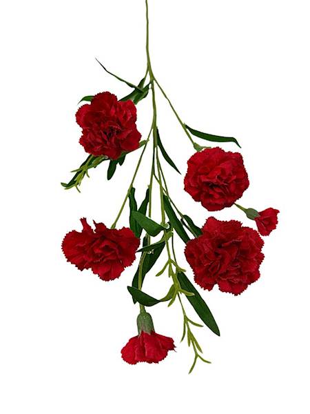 Goździk gałązka 73 cm czerwony rubin