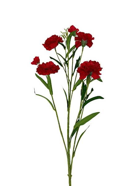 Goździk gałązka 73 cm czerwony rubin