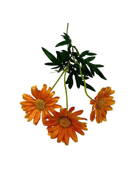 Margaretka gałązka 50 cm pomarańczowa