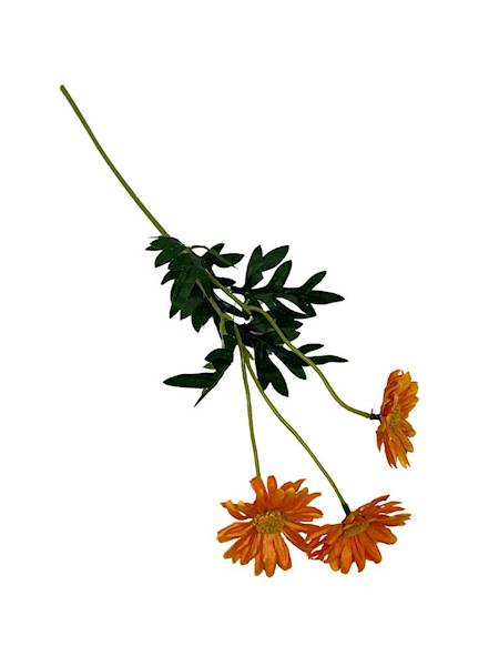 Margaretka gałązka 50 cm pomarańczowa