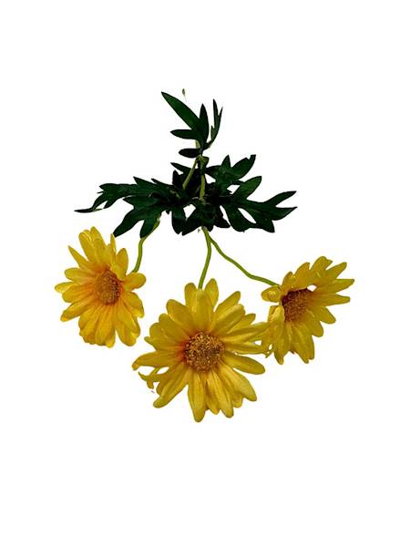 Margaretka gałązka 50 cm żółta