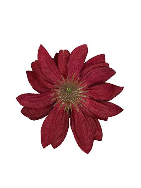 Margaretka główka 12 cm bordowa