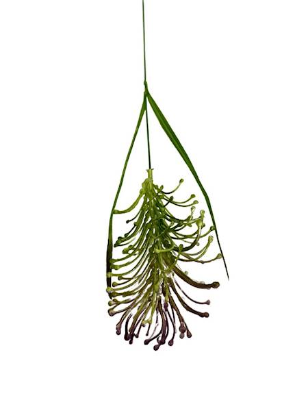 Dodatek trawa ozdobna 54 cm fiolet