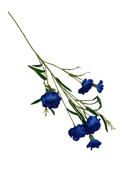 Goździk gałązka 73 cm ciemny niebieski