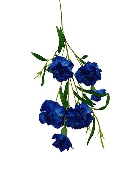 Goździk gałązka 73 cm ciemny niebieski