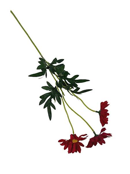 Margaretka gałązka 50 cm czerwona 