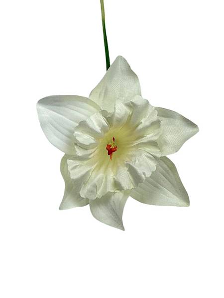 Żonkil narcyz gałązka 41 cm kremowy