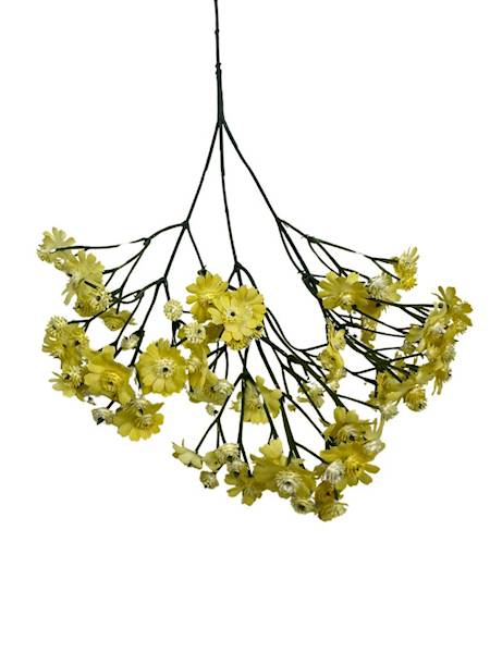 GAŁĄZKA KWITNĄCA 66 CM ŻÓŁTA