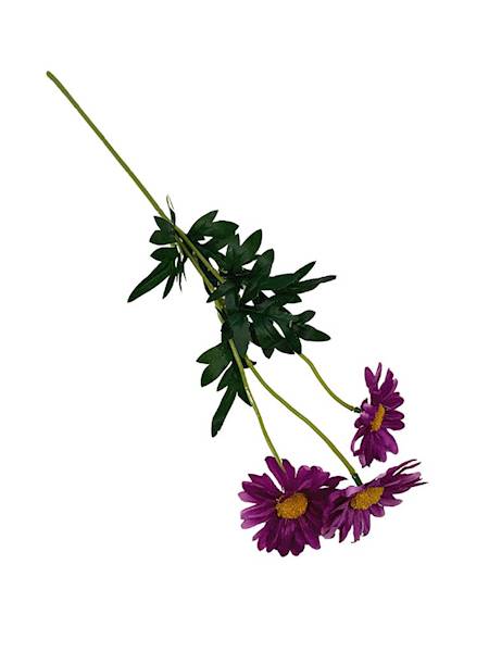 Margaretka gałązka 50 cm fuksja