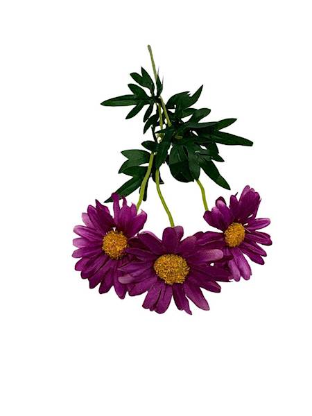 Margaretka gałązka 50 cm fuksja