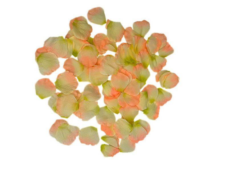 Płatki róż brzoskwiniowe