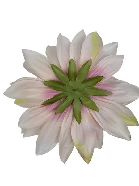 Dalia główka XXL 28 cm jasny róż