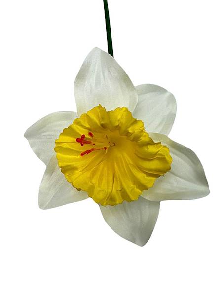 Żonkil narcyz gałązka 41 cm biało żółty