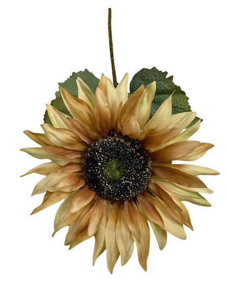 Słonecznik gałązka 65 cm jasny brąz