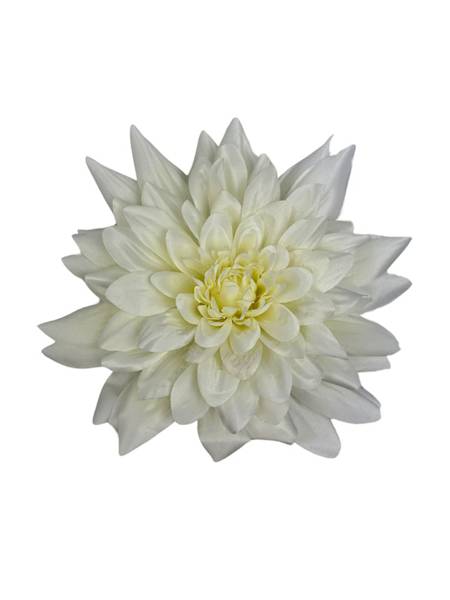 Dalia główka XXL 28 cm kremowa