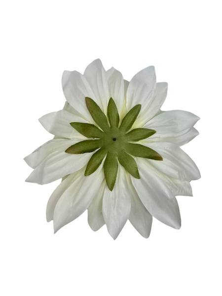 Dalia główka XXL 28 cm kremowa