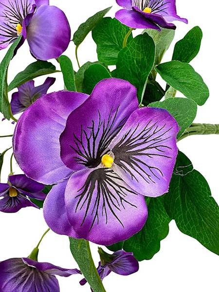 Bukiet bratek 30 cm mocny fiolet