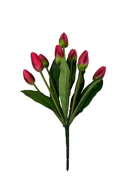 BUKIET 9 TULIPANÓW 40 CM CZERWONY Z ZIELONYM