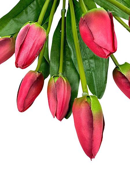 BUKIET 9 TULIPANÓW 40 CM CZERWONY Z ZIELONYM