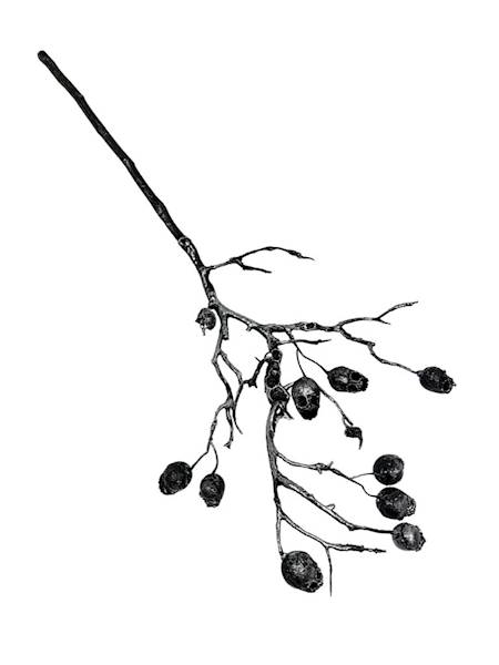 Dekoracja czaszki 70 cm czarno srebrna