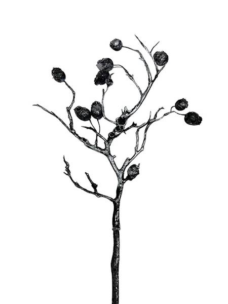 Dekoracja czaszki 70 cm czarno srebrna