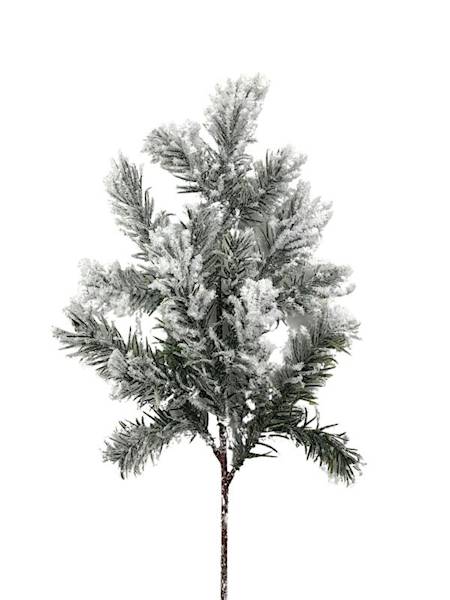 Jodła gałązka ośnieżona 45 cm