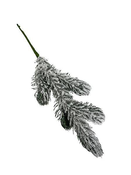 Jodła gałązka ośnieżona 30 cm