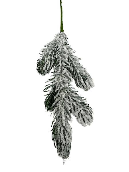 Jodła gałązka ośnieżona 30 cm