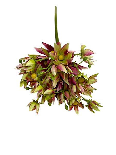 Agapantus gałązka 57 cm różowo zielony