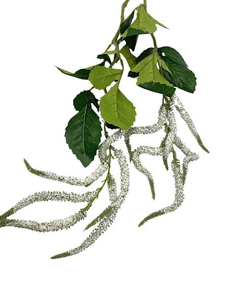 Szarłat zwis gałązka 90 cm biały