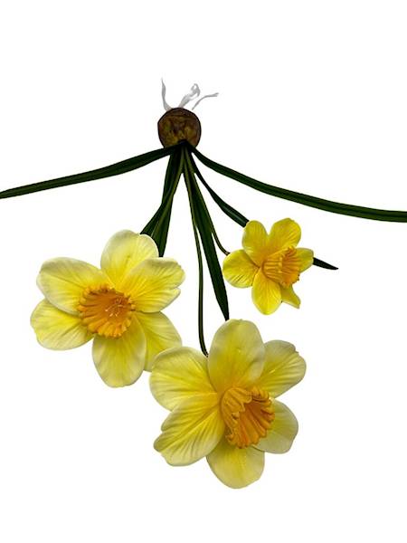 Żonkile żółte z cebulką