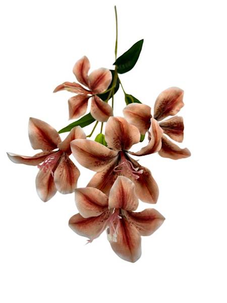 Liliowiec gałązka 74 cm  jasny brąz