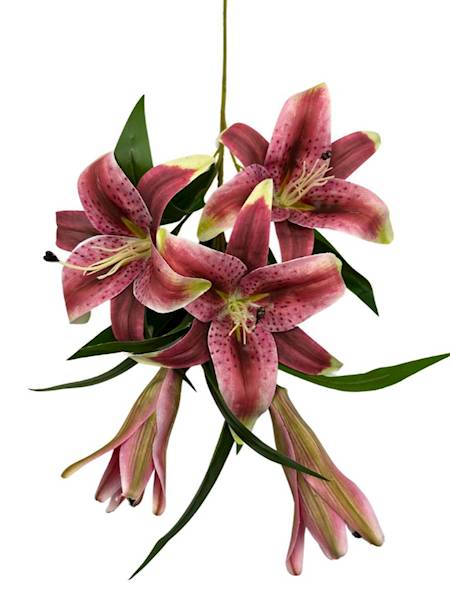 Lilia silikonowa gałązka 75 cm jasne bordo