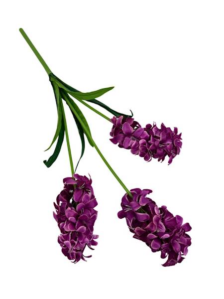 Hiacynt 3 kwiaty gałązka fuksjowy