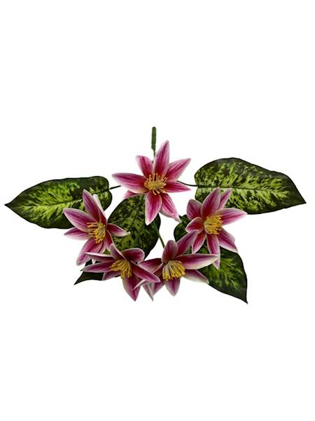 BUKIET KLEMATISÓW 28 CM CIEMNY RÓŻ