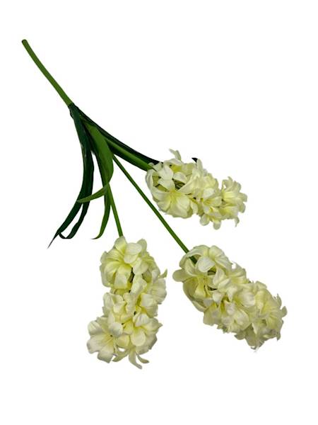 Hiacynt 3 kwiaty gałązka kremowy