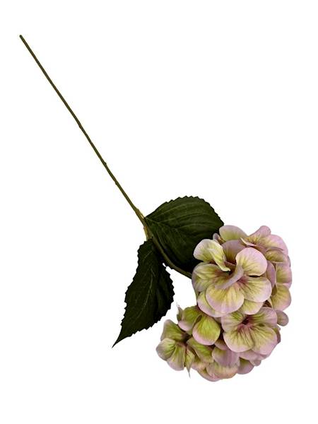 HORTENSJA GAŁĄZKA 60 CM BEŻOWA