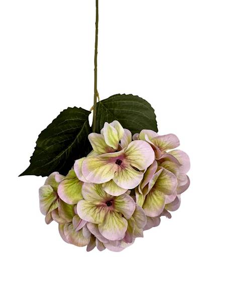 HORTENSJA GAŁĄZKA 60 CM BEŻOWA