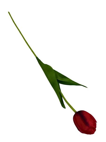 TULIPAN GAŁĄZKA 55 CM CZERWONY 